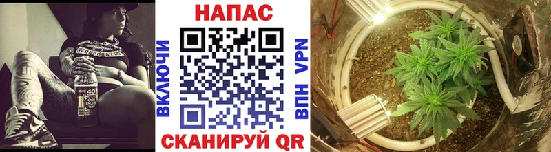 Конопля ГИДРОПОН  Лукоянов 